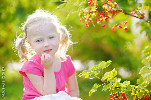Cute little toddler girl picking red currants in a garden
