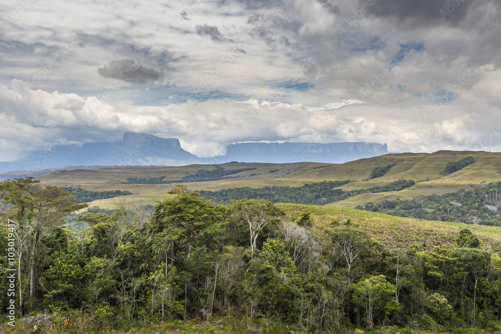 Beautiful landscape characteristic for the Gran Sabana - Venezue