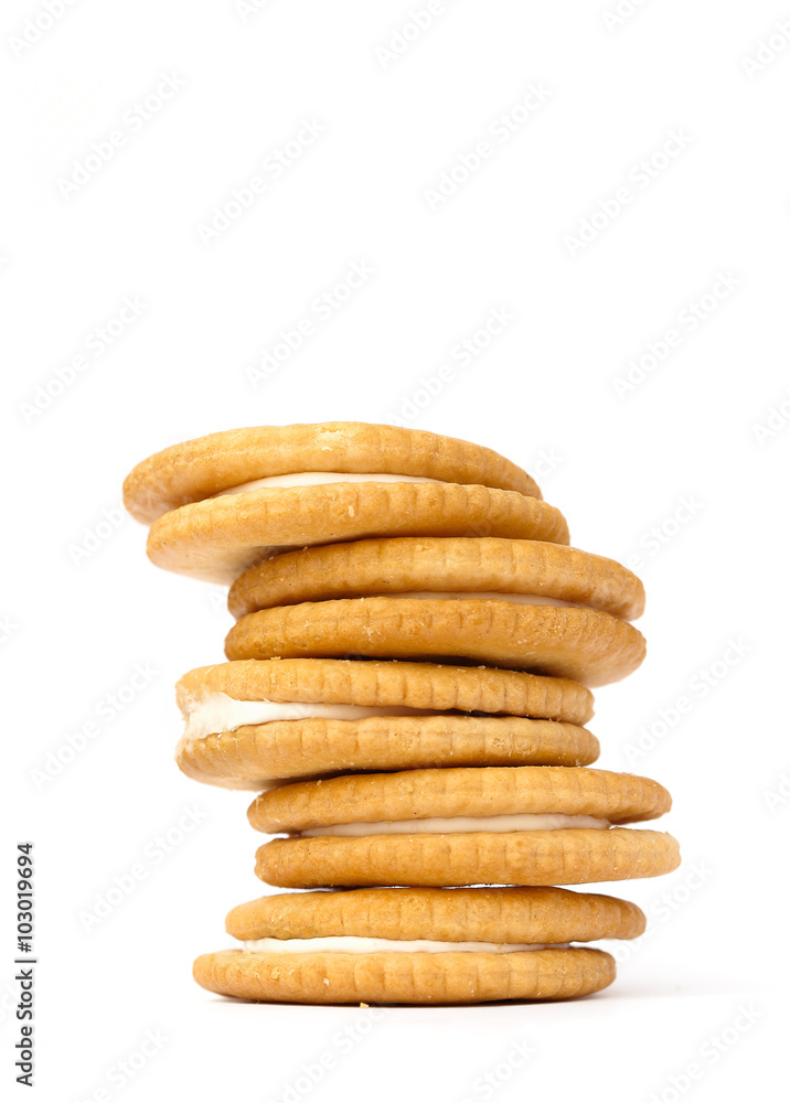 Biscuit Biscuit