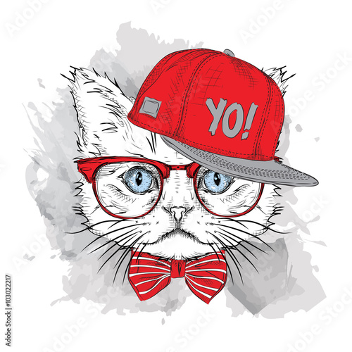 The poster with the image cat portrait in hip-hop hat. Vector illustration.