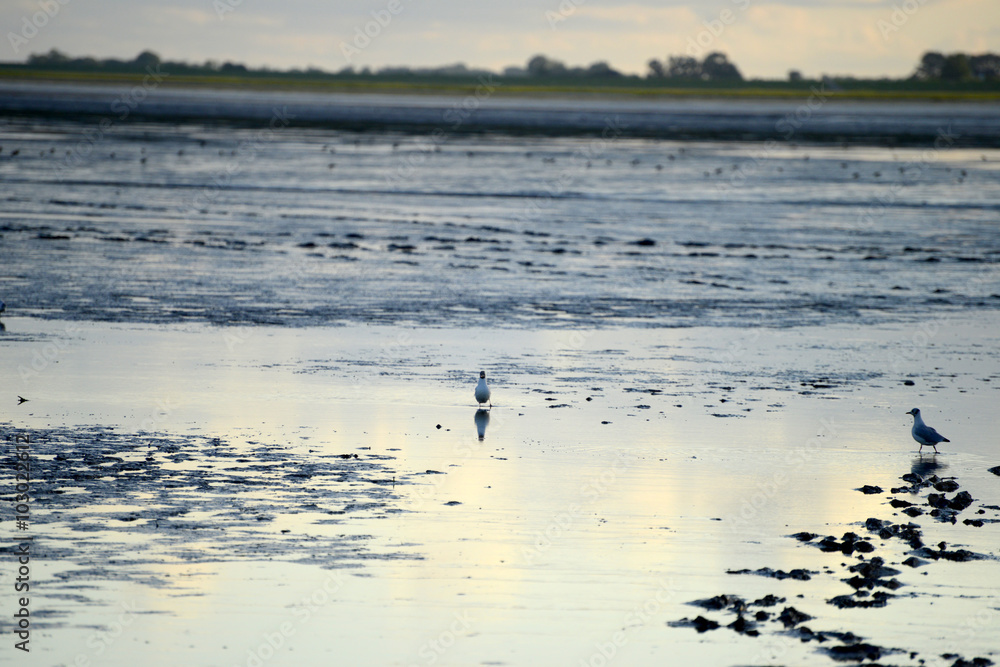 Wattenmeer bei Husum - Nordsee Wattenmeer bei Husum - Nordsee