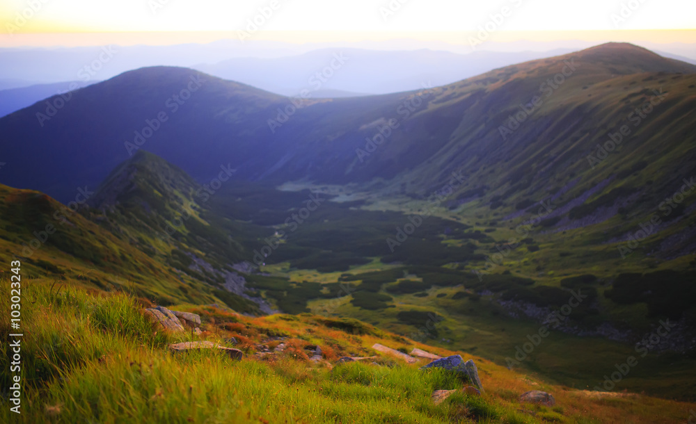 Naklejka premium Vibrant green mountain valley in light of sun rise.