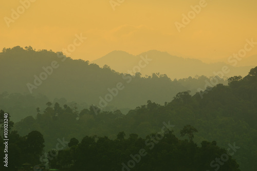 Wallpaper Mural 170 million years old primarily virgin tropical rainforest of the Royal Belum State Park in Perak, Malaysia. Torontodigital.ca