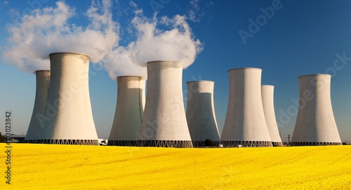 Nuclear power plant with field of rapeseed