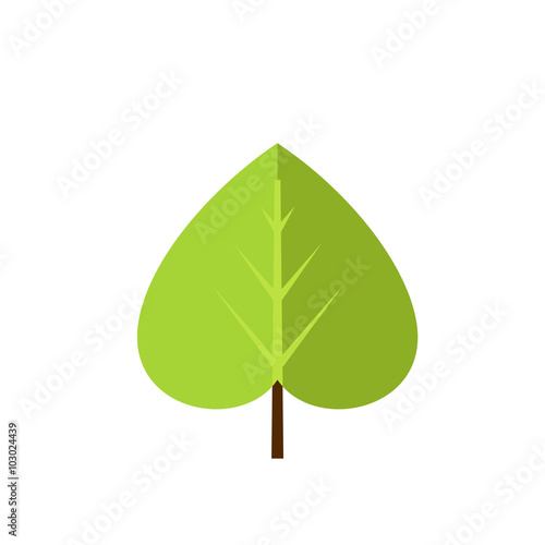 Green linden leaf