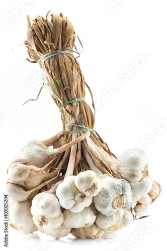 Garlic