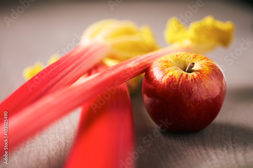 Fresh apple and rhubarb stalks for baking