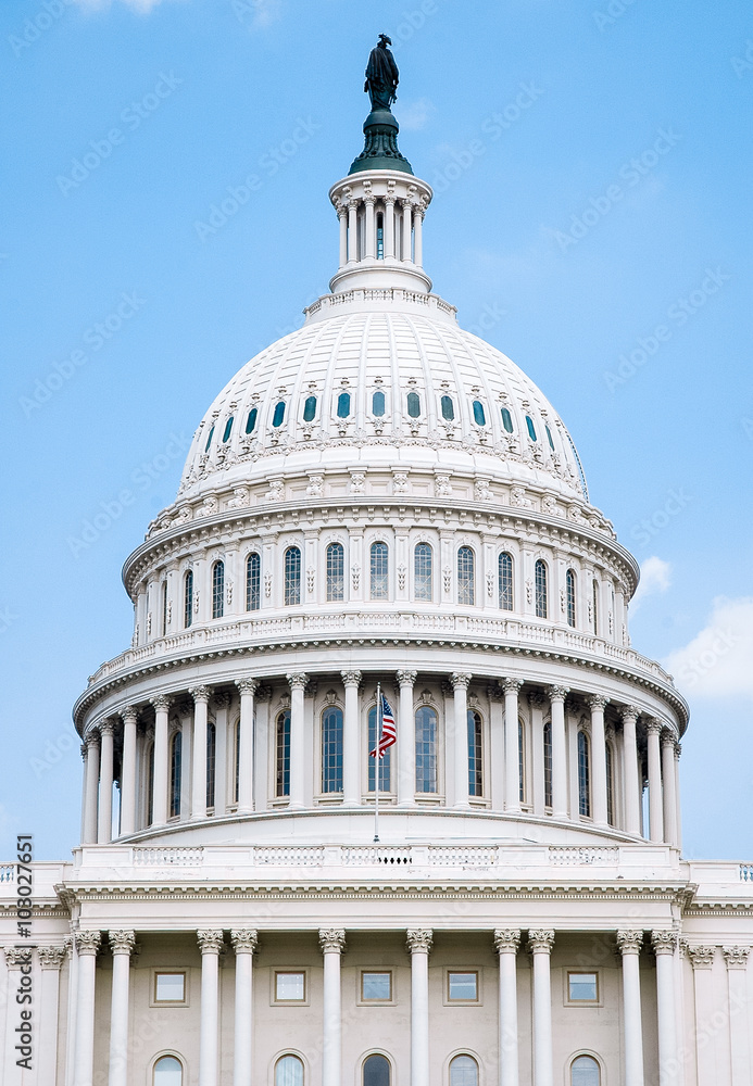 Obraz premium Capitol Building