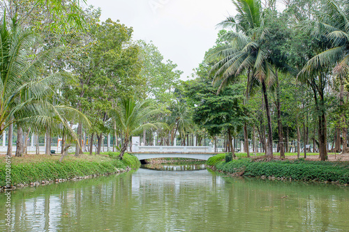 Pond