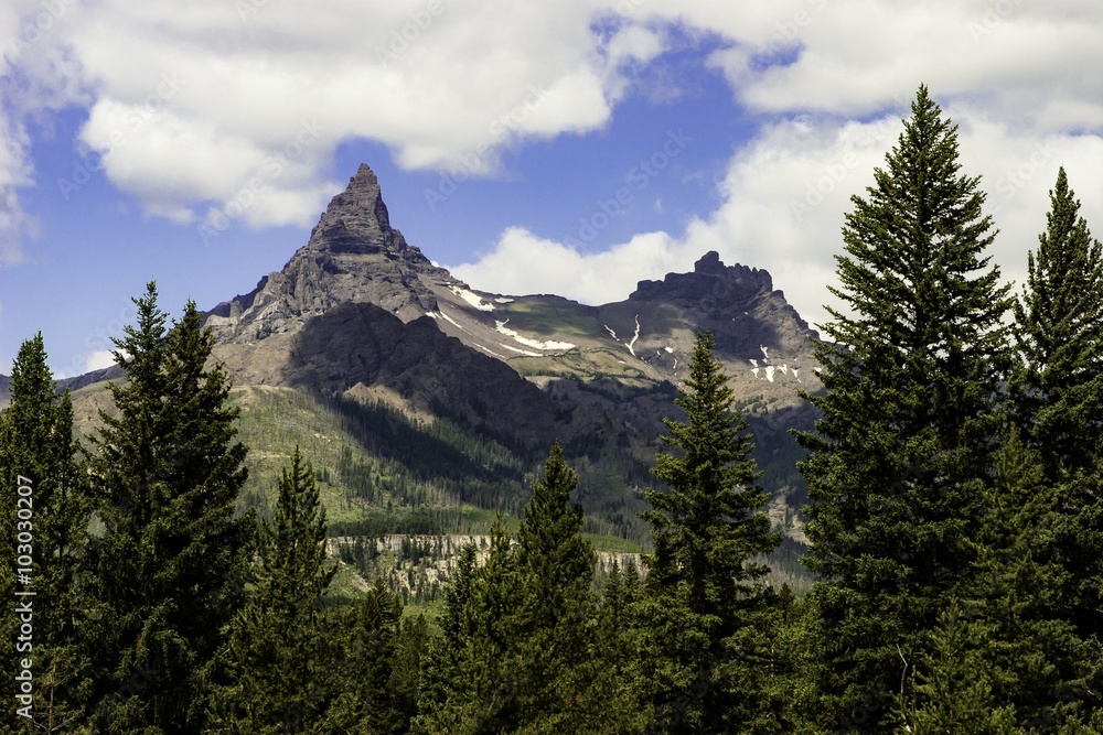 Bear Tooth Mountain in Wyoming with evergreen trees in the foreground