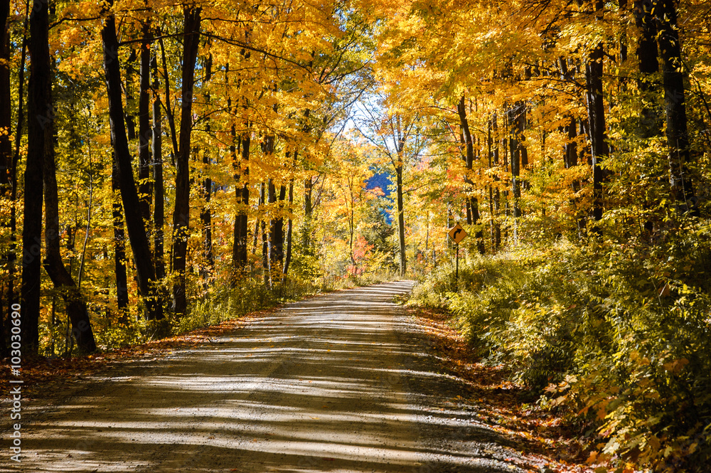 Allegheny National Forest Allegheny National Forest