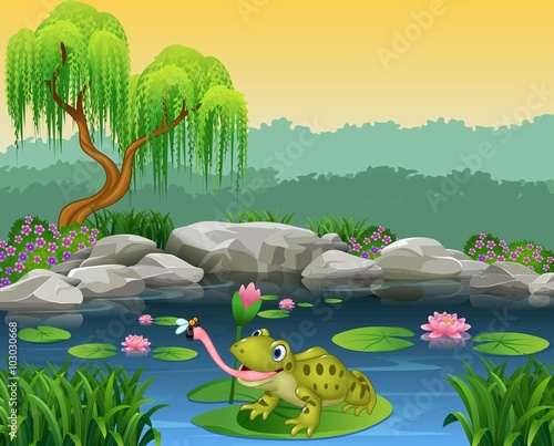 Cartoon frog catching fly on the lily water photo