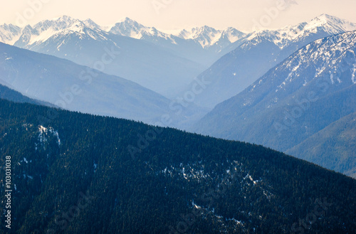 Hurricane Ridge, Olympic National Park