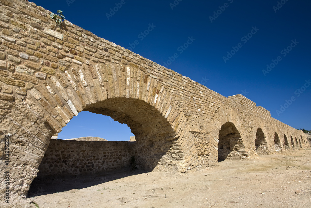 Tunisia. Ancient Carthage. Reconstruction of the aqueduct supplied water to 24 large cisterns near the Byrsa Hill