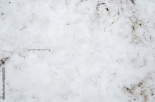 Melted Dirt  snow on a field.  background. Ground texture with branch and twig in sping. 