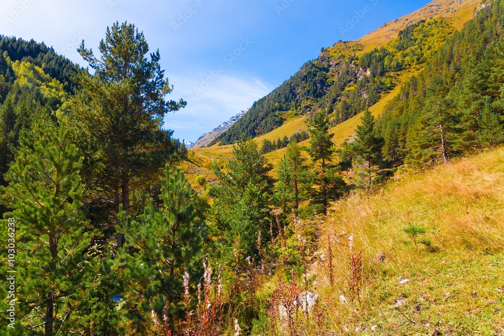 Mountain day autumn