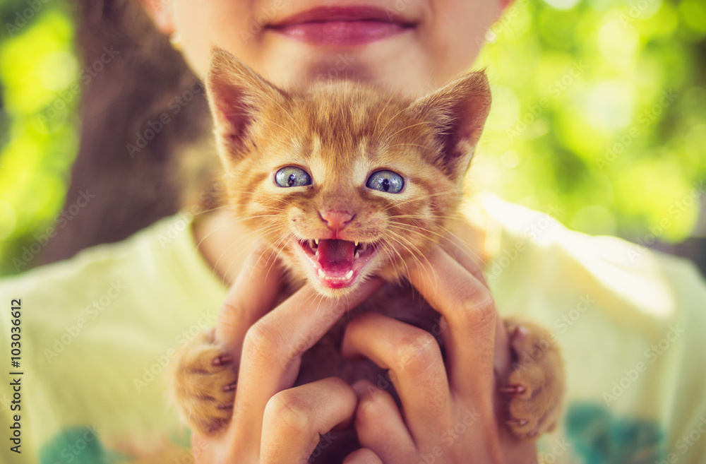 Smiling little girl holding small kitten in hands outdoor.Funny little ...