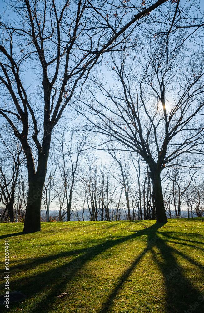 Obraz premium Pittsburgh