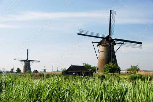 Typical windmills in Holland