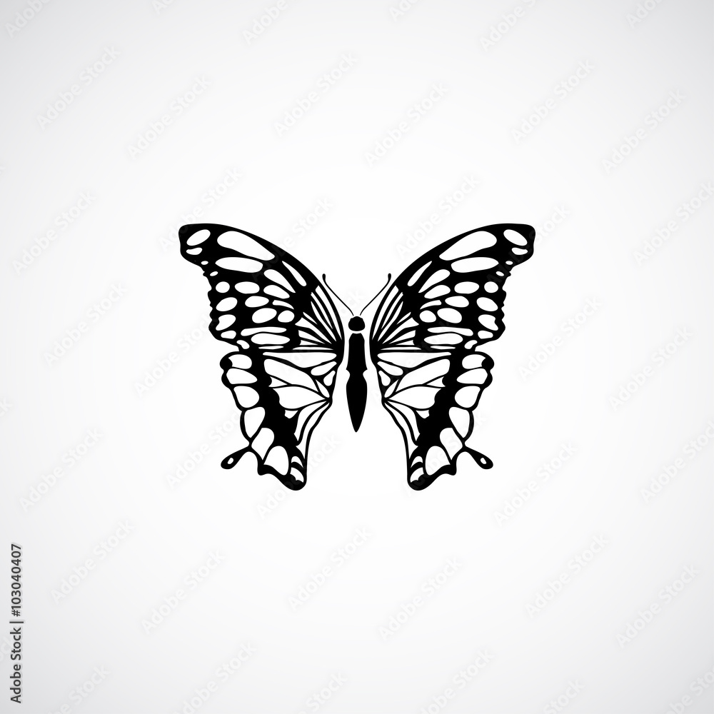 Obraz premium butterfly icon