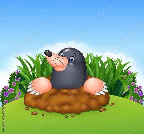 Cartoon funny mole in the jungle