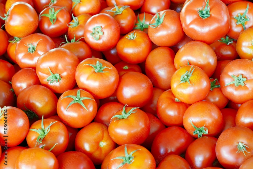 Fresh red tomato Fresh red tomato
