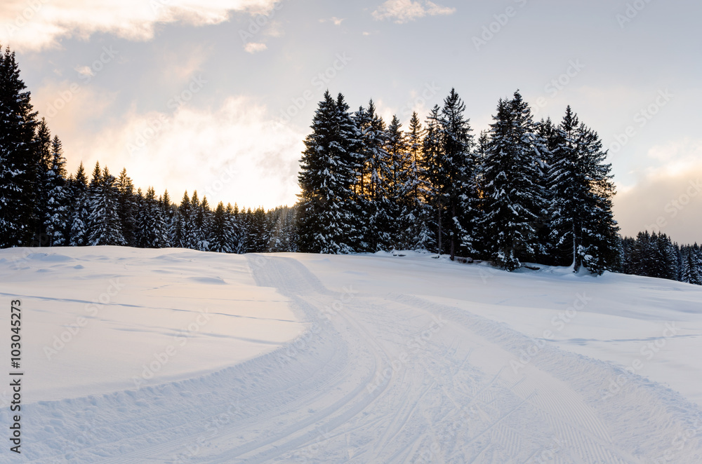 Winding Cross-country Skiing Track at Sunset