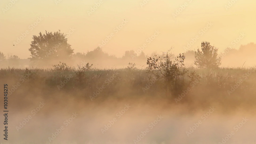 Morning Mist on The River Morning Mist on The River