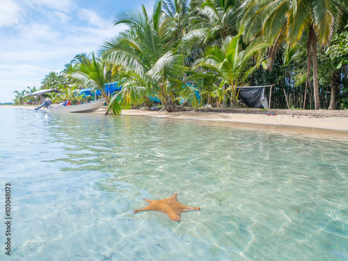 Tableau sur toile Beach in bocas del toro