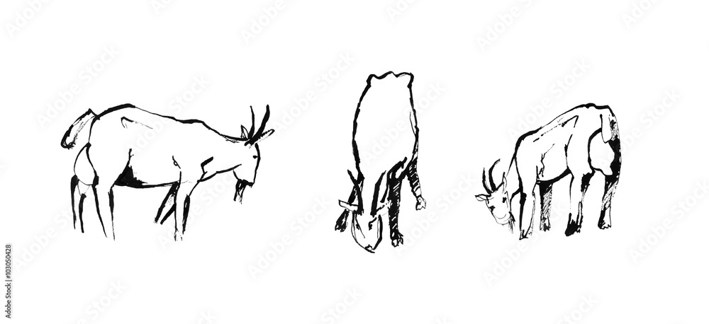 black and white sketch of three goats black and white sketch of three goats