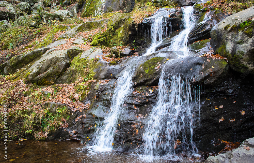 Fototapeta premium Shenandoah National Park