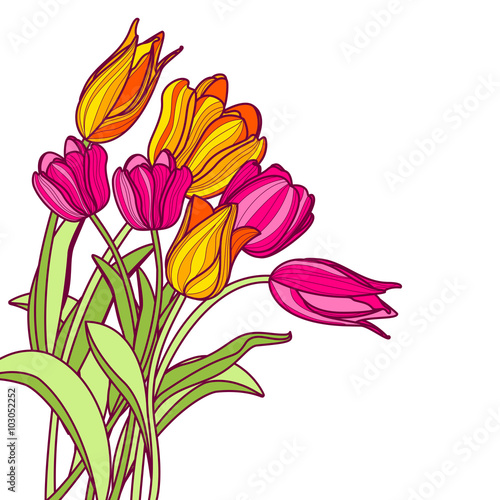 Bouquet of hand drawn pink and yellow tulip flowers, isolated on white background. Vector floral spring greeting card or banner background.