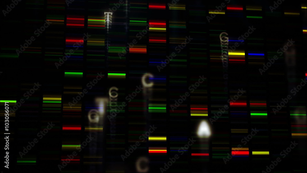 Animation of colored squares moving fast Animation of colored squares moving fast