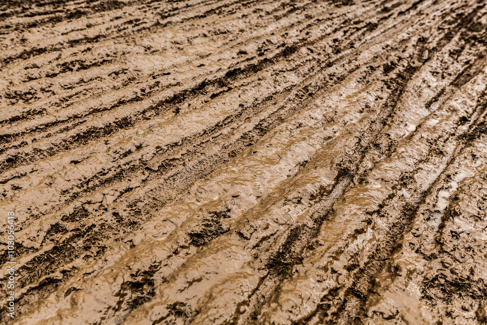 Naklejka premium cyclo-cross