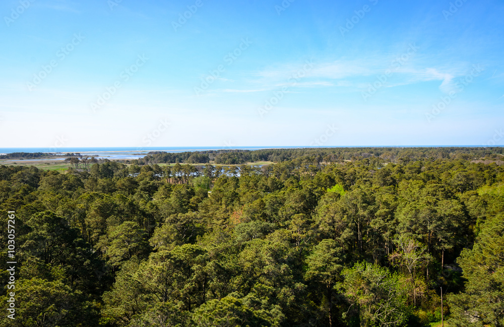 Chincoteague