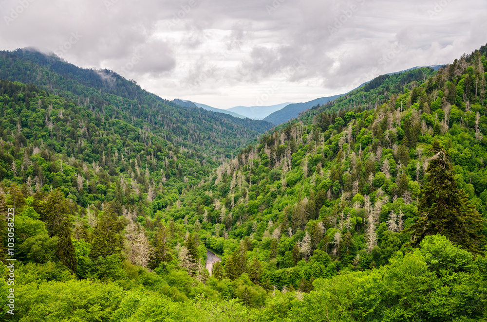 Great Smoky Mountains National Park