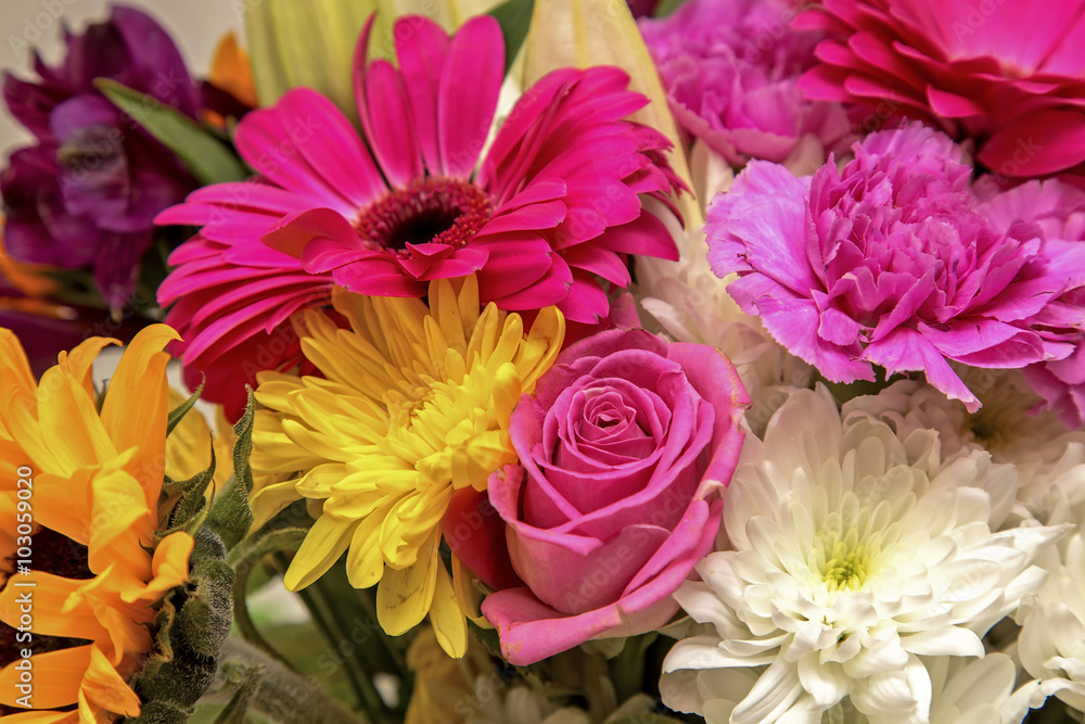 Flowers Flowers