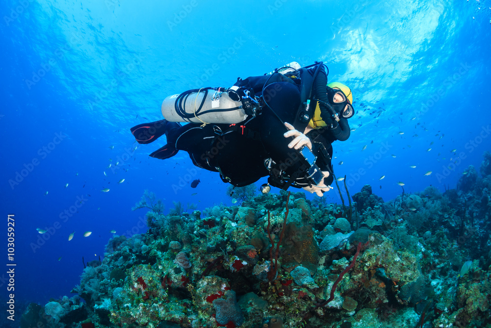 Closed Circuit Rebreather Diver on a Coral Reef