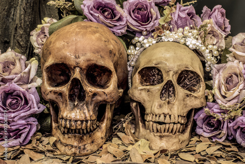 still life couple human skull art abstract background