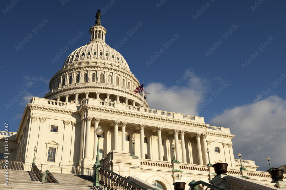 Obraz premium The US Capitol