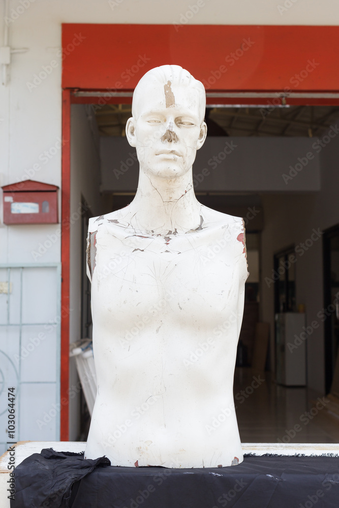 Realistic mannequin head and torso