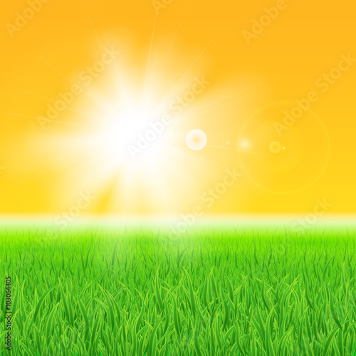 Green grass under the sun © swillklitch