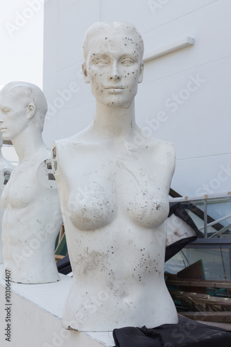 Obraz na płótnie Realistic mannequin head and torso w salonie