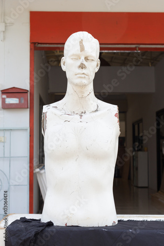 Obraz na płótnie Realistic mannequin head and torso w salonie