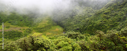 Foggy Rain Forest Panoramic Saint Kitts © Wirepec