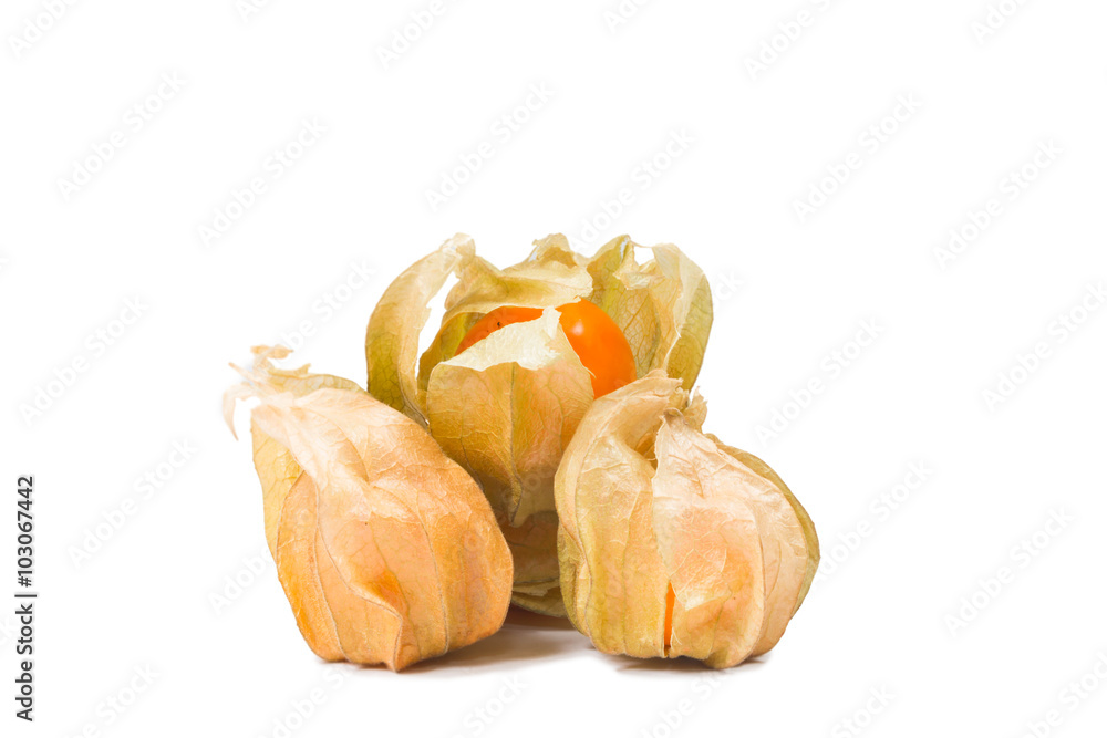 cape gooseberry isolate on white
cape gooseberry isolate on white