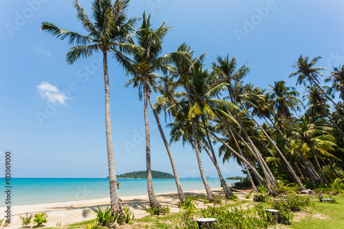Beautiful tropical beach at island Koh Chang © Oleg Zhukov