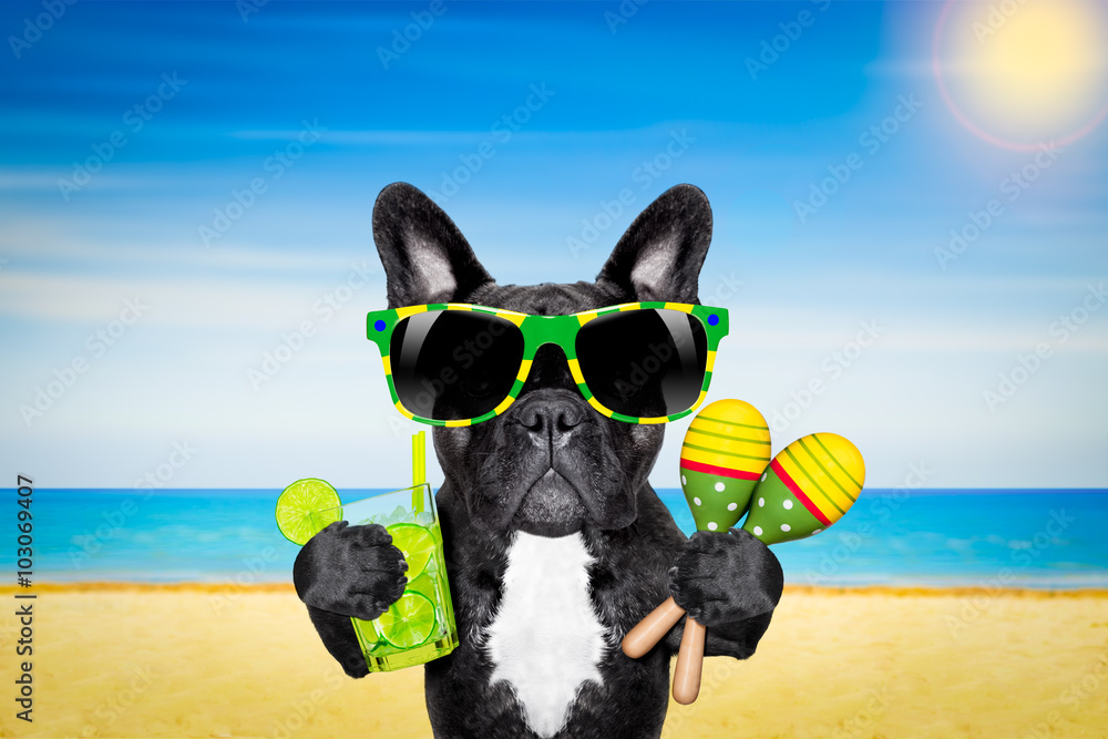 dog summer beach cocktail