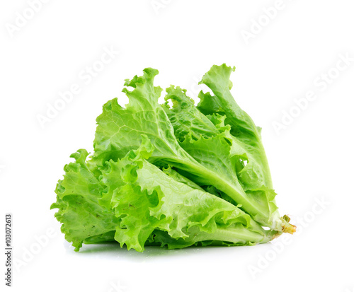 Photo Fresh green lettuce on white background