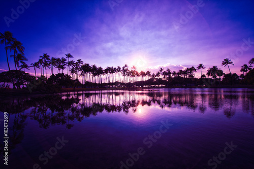 ヤシの木と夕焼けの空,水面の反射,ハワイ,
